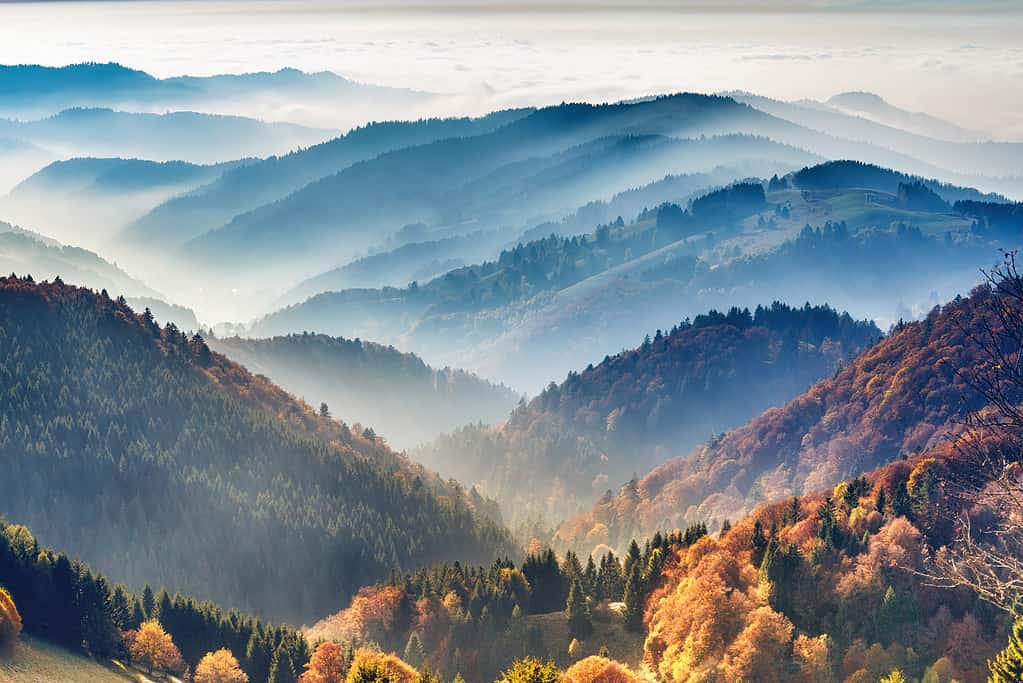 Paesaggio montano panoramico.  Vista sulla Foresta Nera in Germania, coperta di nebbia