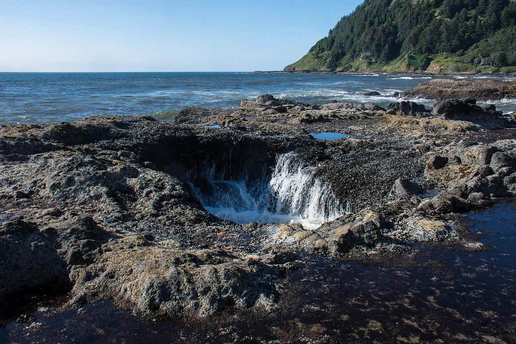 Thors Well, una roccia naturale a Cape Perpetua, sulla costa dell'Oregon