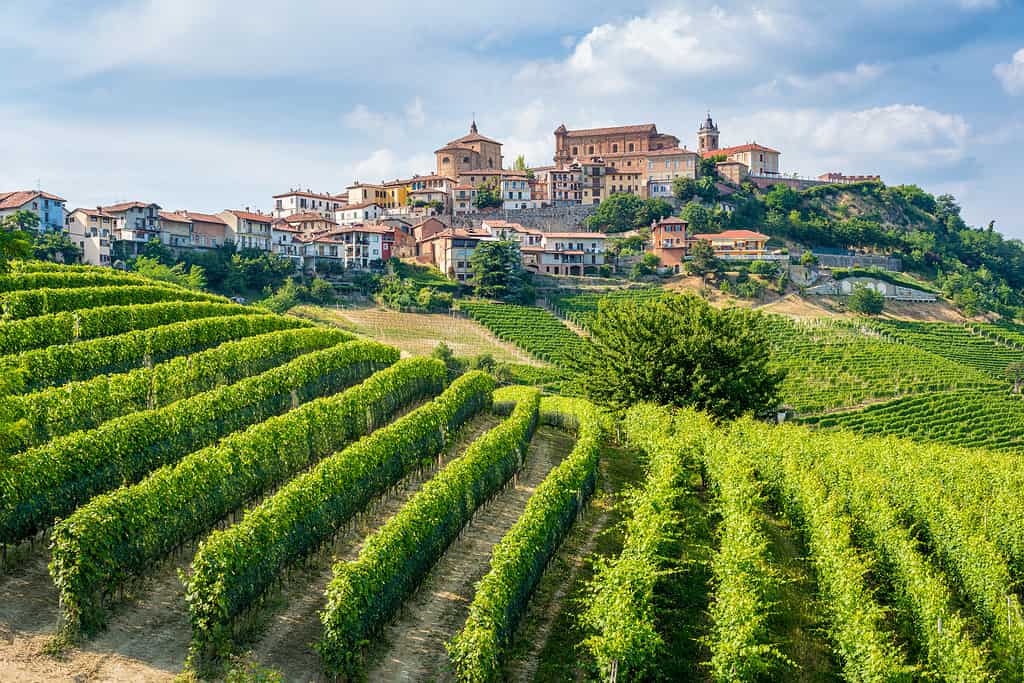 Il bellissimo villaggio di La Morra e i suoi vigneti nelle Langhe del Piemonte, Italia.