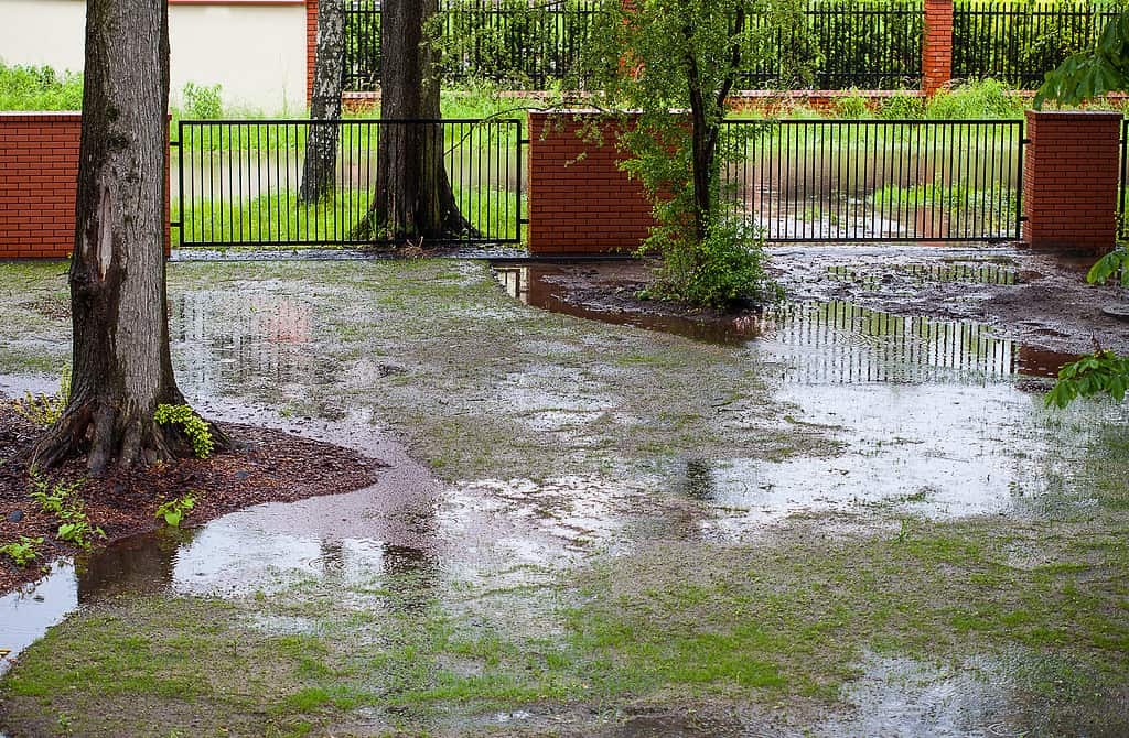 Alluvione primaverile