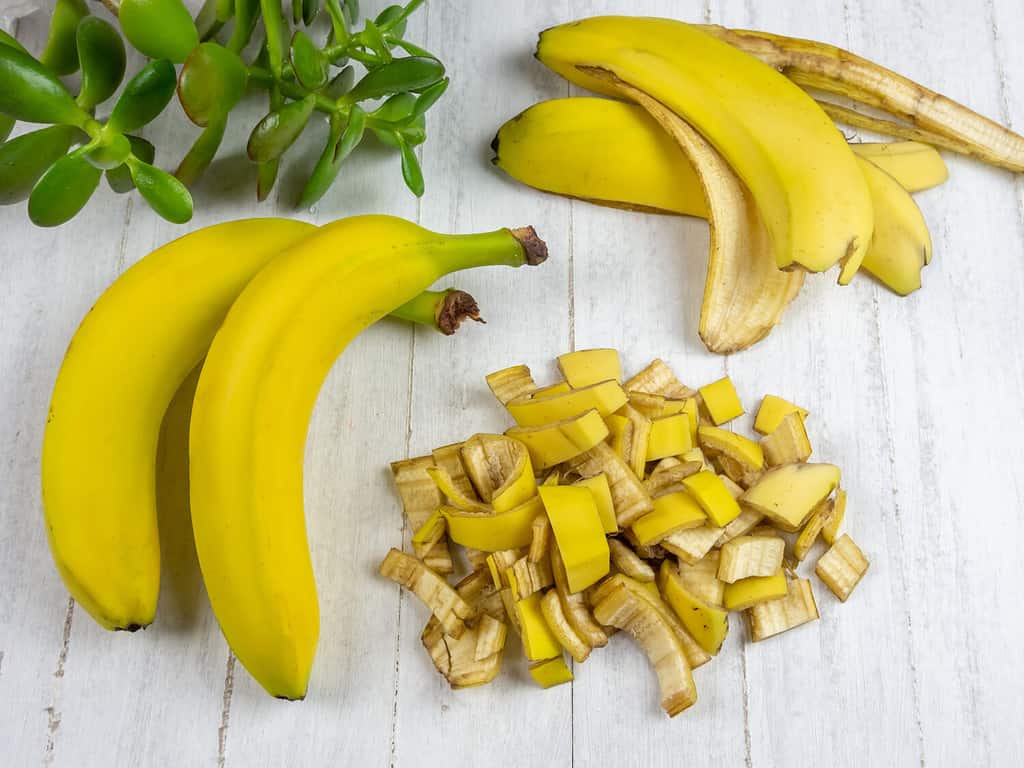 Concime organico a base di buccia di banana.
