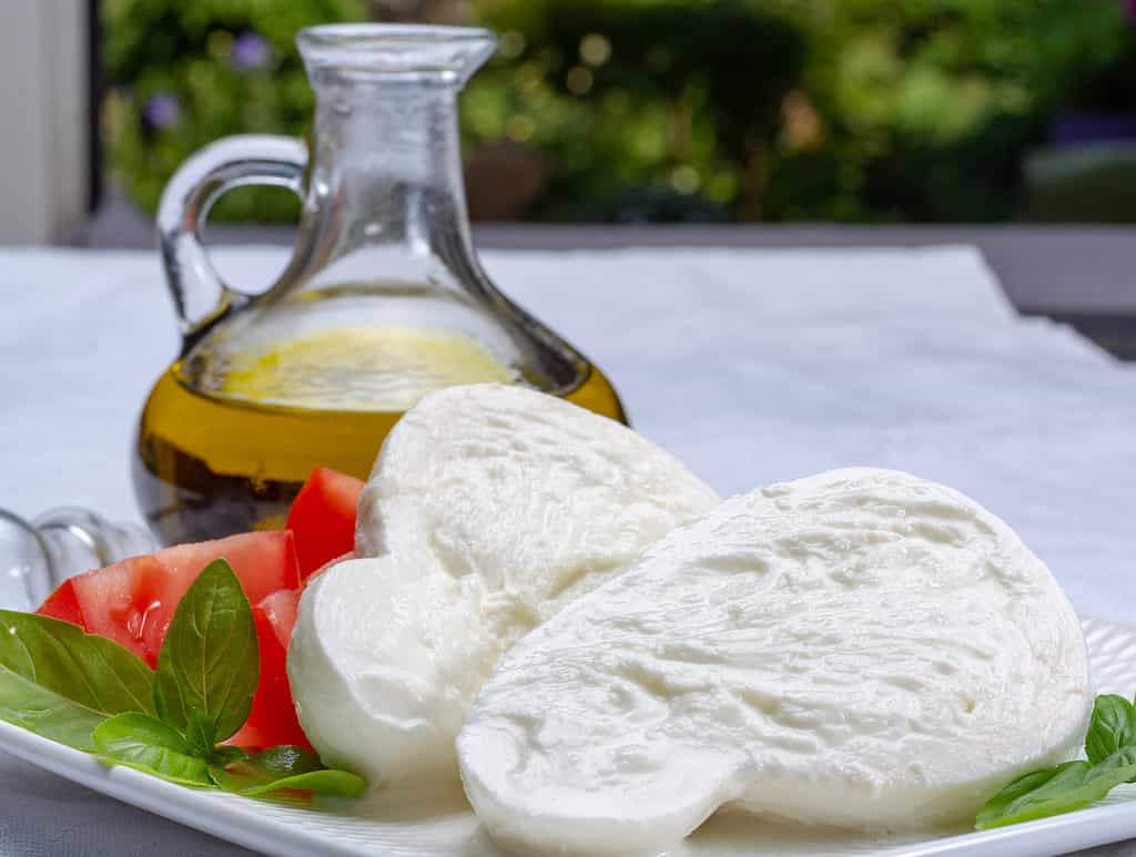 Mozzarella di bufala bianca fresca e morbida, originaria delle regioni Campania, Paestrum e Foggia, Sud Italia, servita con pomodori, basilico fresco e olio d'oliva