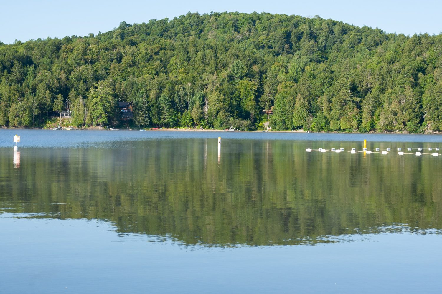 Grande Lago Simon, Quebec.  Lago specchiato con barche, filari di alberi e uccelli, tanta natura in vista.  Neve mistica. 