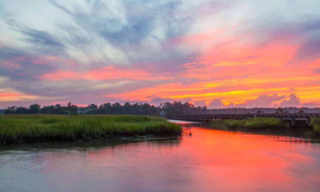 Georgia - Stato americano, Savannah River, Savannah - Georgia, Paesaggio, Palude