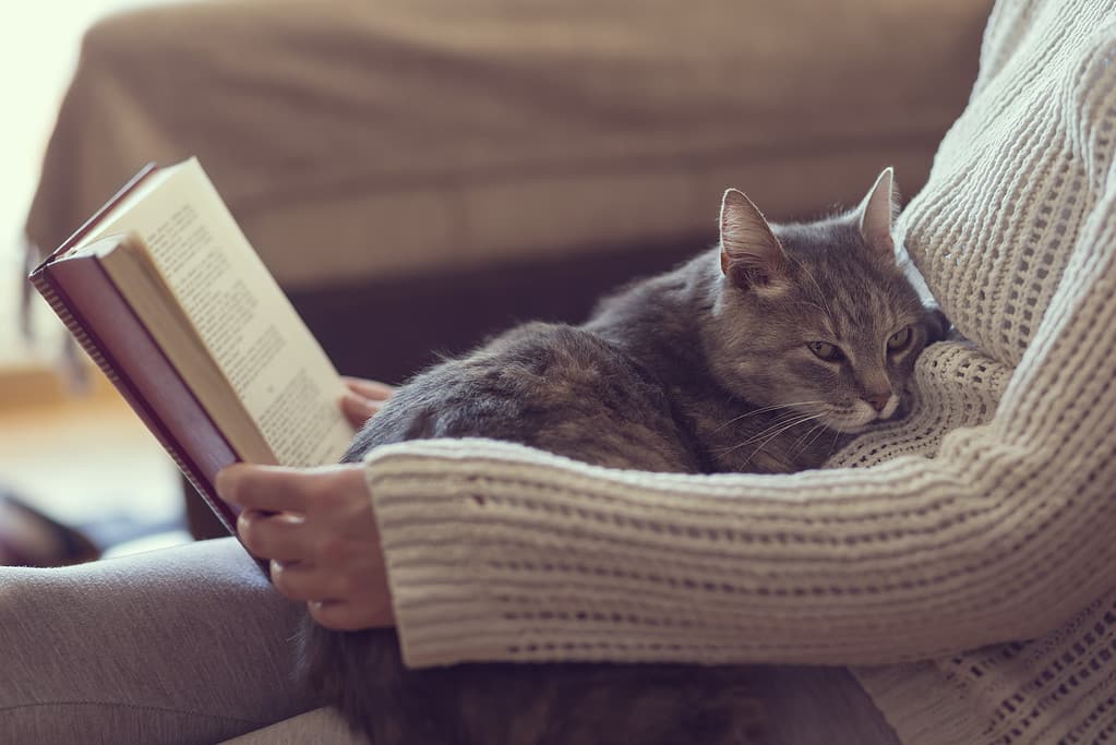 Tempo libero con un gatto