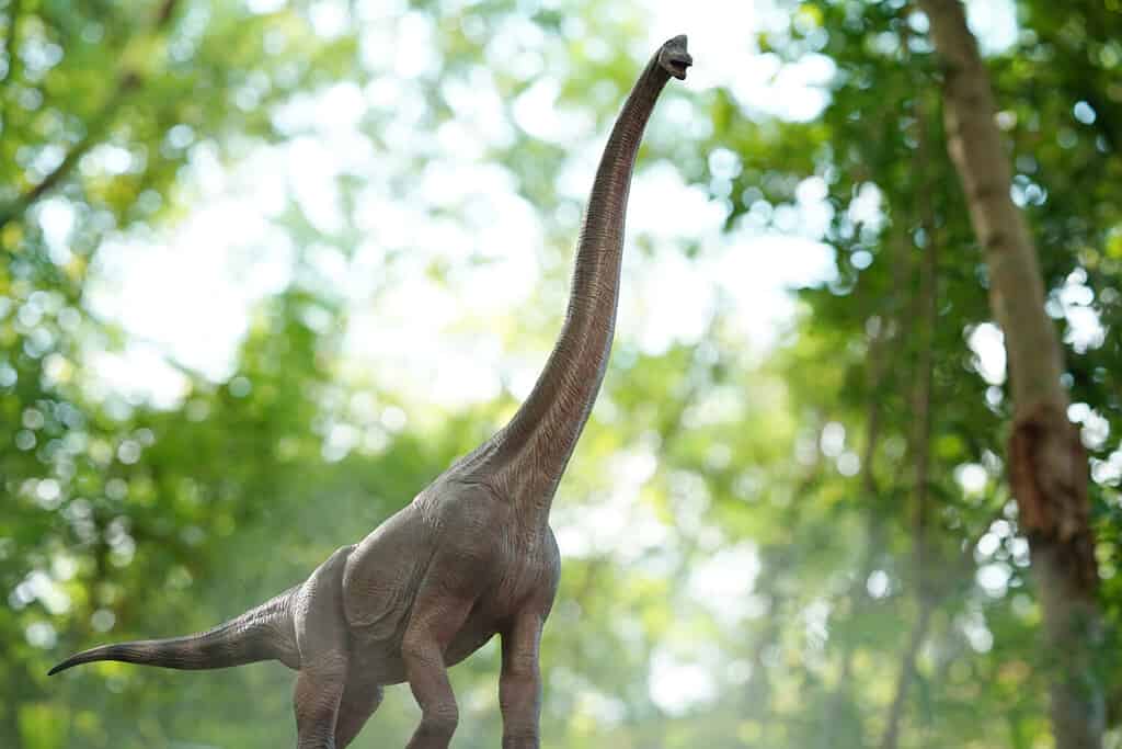 Enorme brachiosauro sauropode dal collo lungo che pascola sugli alberi d'altezza.  sullo sfondo della natura.  primo piano modello di dinosauro e mostro.
