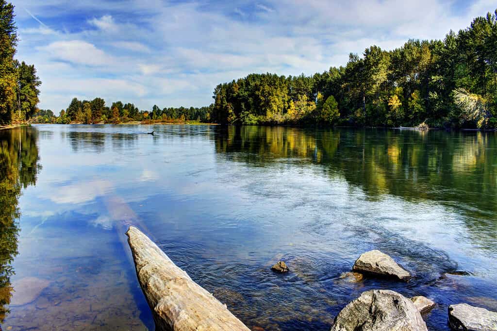 Calma mattina di fine estate sul fiume Willamette, Oregon.