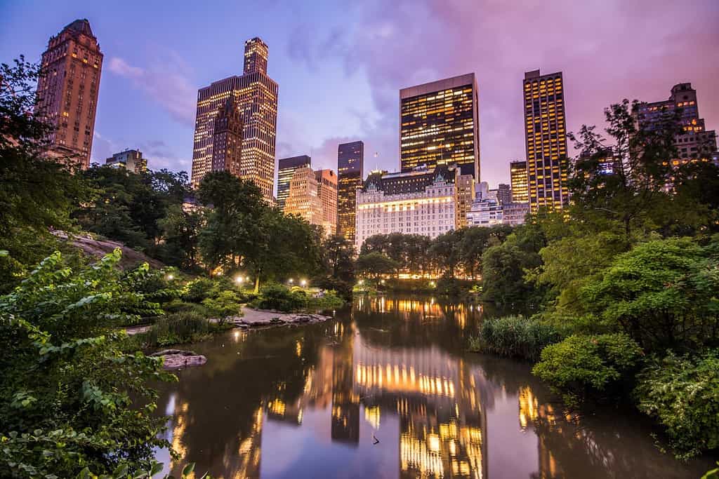 tramonto al central park