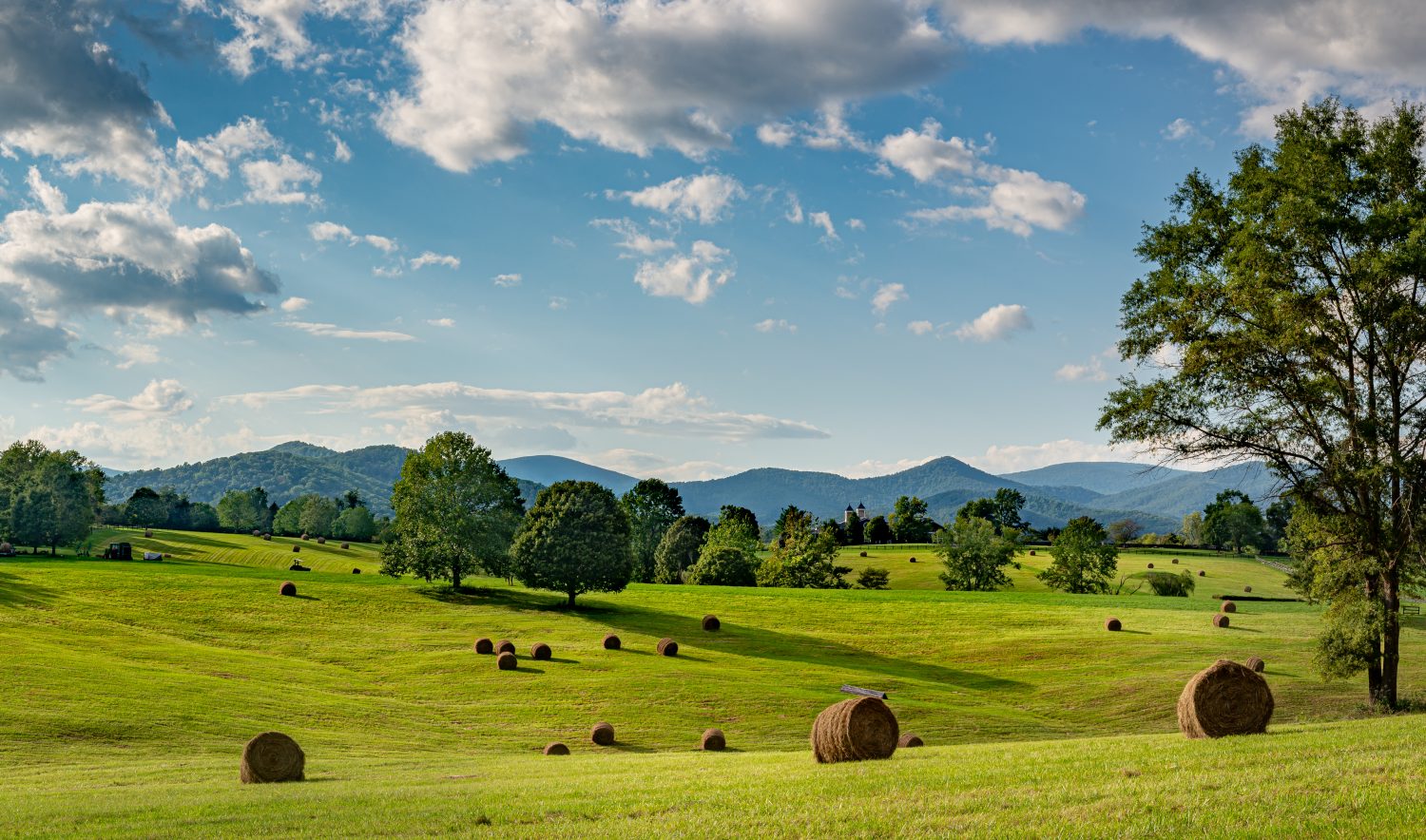 Balle di fieno al pascolo in un allevamento di cavalli all'ombra delle Blue Ridge Mountains nella Virginia centrale vicino a Charlottesville.