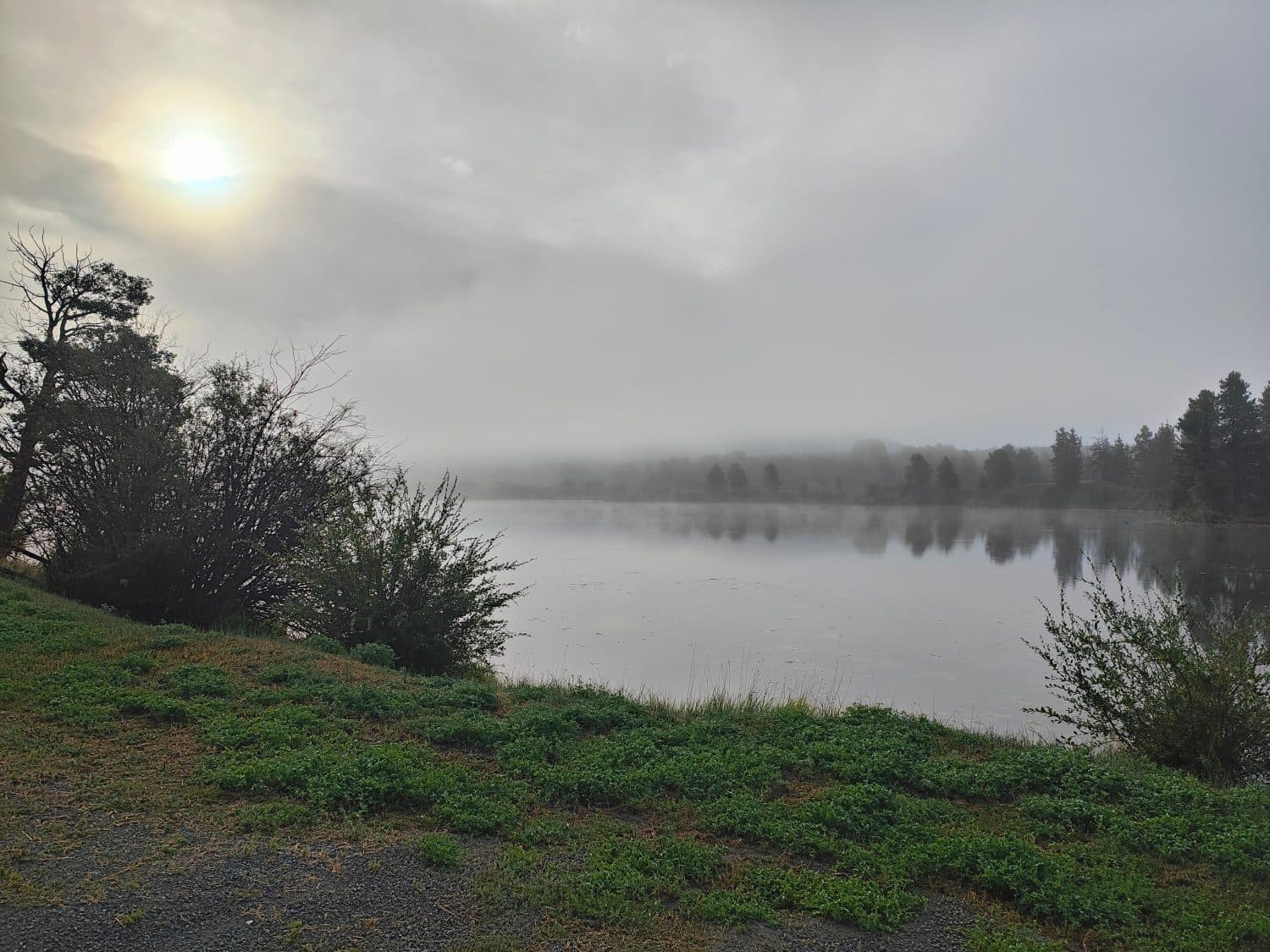 Nebbia mattutina al Lago Tatla, Columbia Britannica