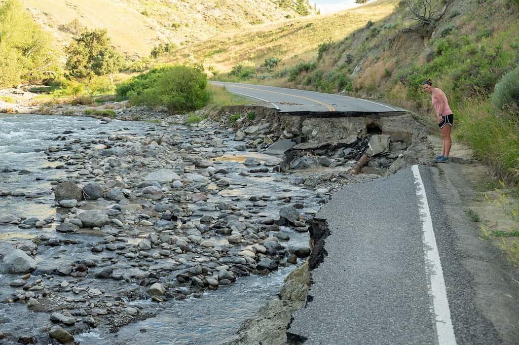 La donna guarda oltre il bordo della strada sbiadita nel parco nazionale di Yellowstone