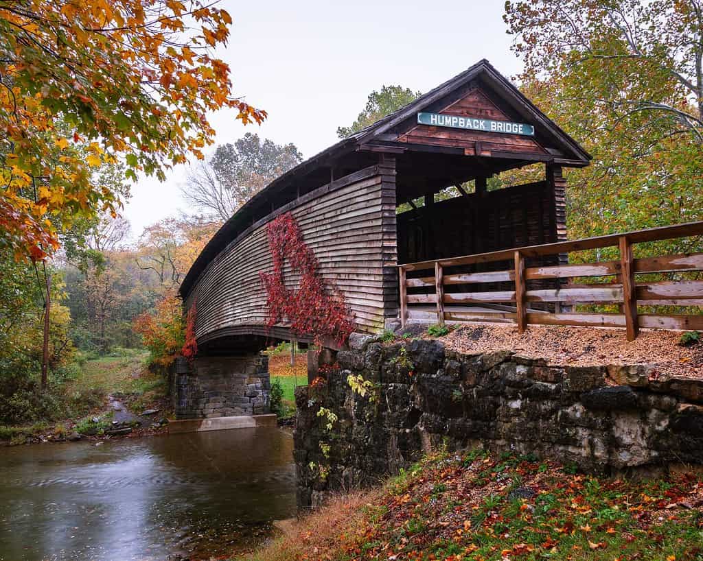 Il ponte coperto a schiena d'asino nella contea di Alleghany, Covington, Virginia è il ponte coperto più antico dello stato.  Questo è stato catturato durante l'inizio dei colori autunnali in una giornata nuvolosa e grigia.