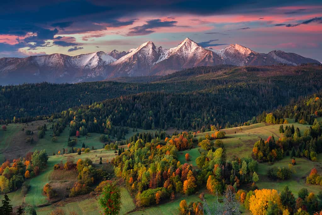 Bellissimo autunno con alberi rossi e gialli sotto i Monti Tatra all'alba.  Slovacchia