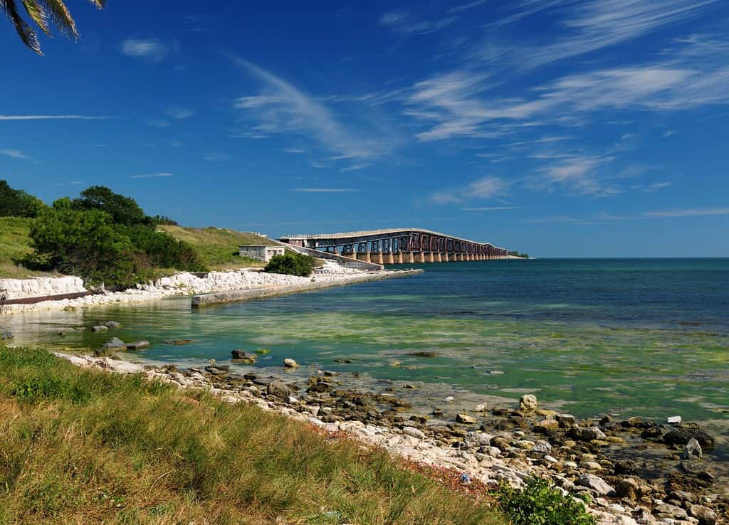 Vista del vecchio ponte Bahia Honda, parte dei Florida Keys Overseas Heritage Trails, da West Summerland Key in una soleggiata giornata autunnale con un cielo azzurro e poche nuvole