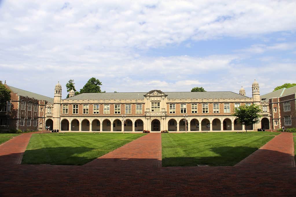 Washington University di St. Louis