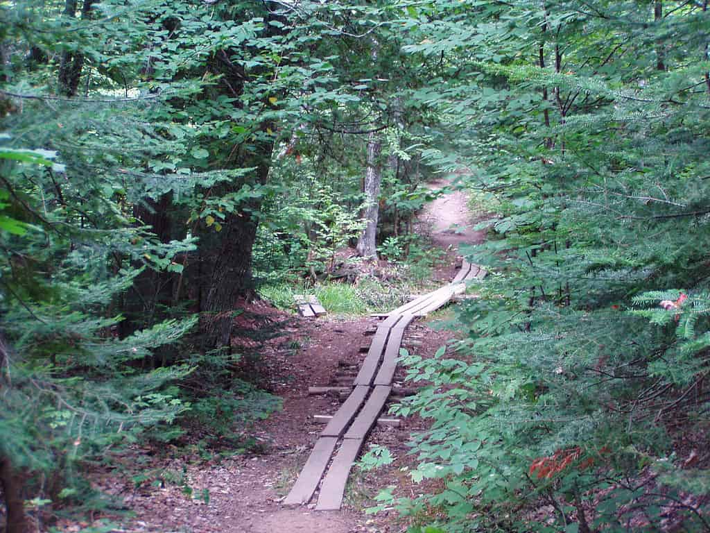 Santuario naturale dei pini di Estivant