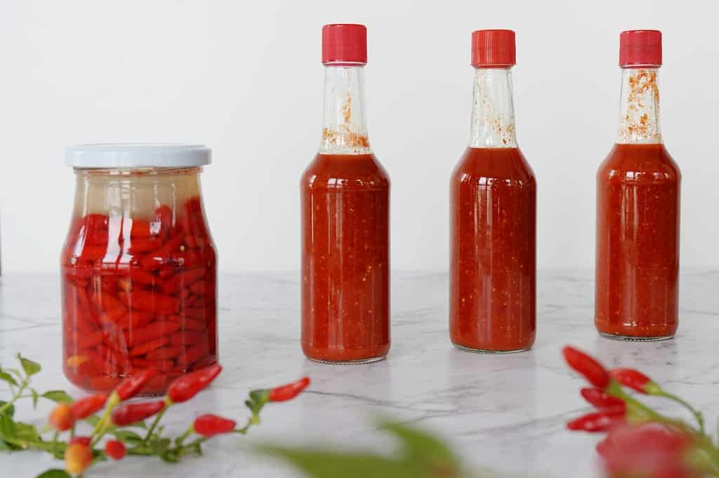 Salsa piccante a base di peperoncini Tabasco freschi fermentati.  Vaso con processo di fermentazione e salsa pronta su un tavolo.