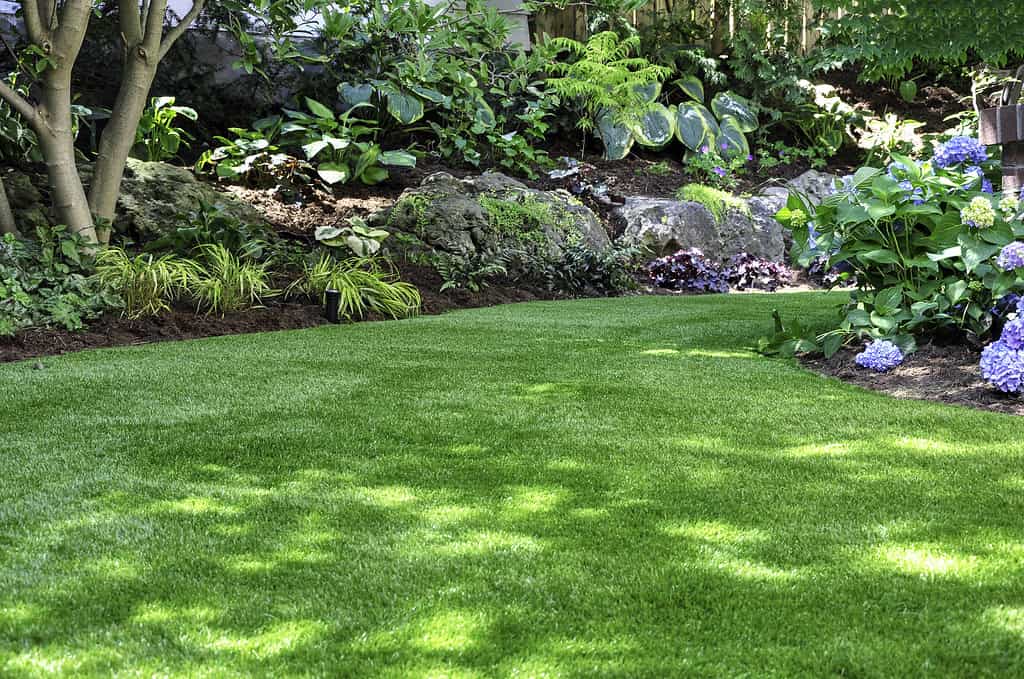 L'erba artificiale crea un aspetto naturale in un giardino sul retro.