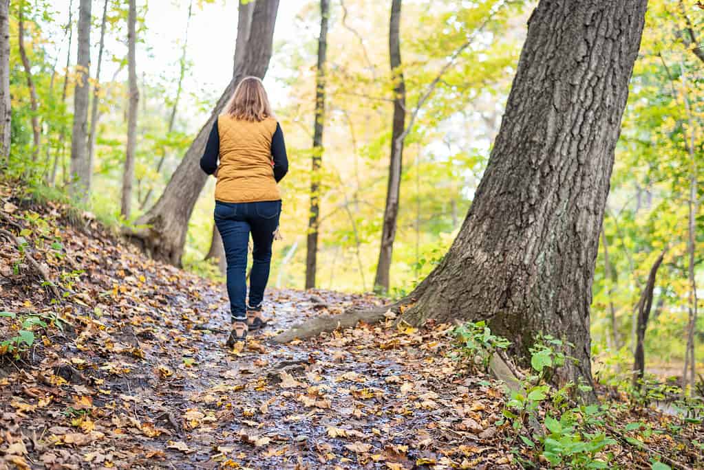 vista posteriore della donna che cammina sul sentiero da solo nei boschi autunnali