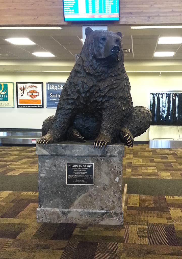 Una statua in bronzo di un orso grizzly all'aeroporto internazionale di Bozeman-Yellowstone vicino a Bozeman, nel Montana.