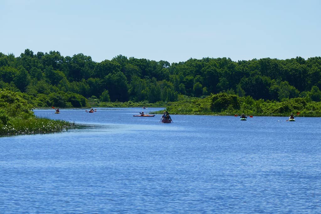Canoisti nel fiume Charles vicino a Cutler Park, Needham, Massachusetts