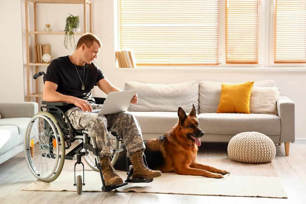 Soldato dell'esercito americano in sedia a rotelle con computer portatile e il suo cane a casa