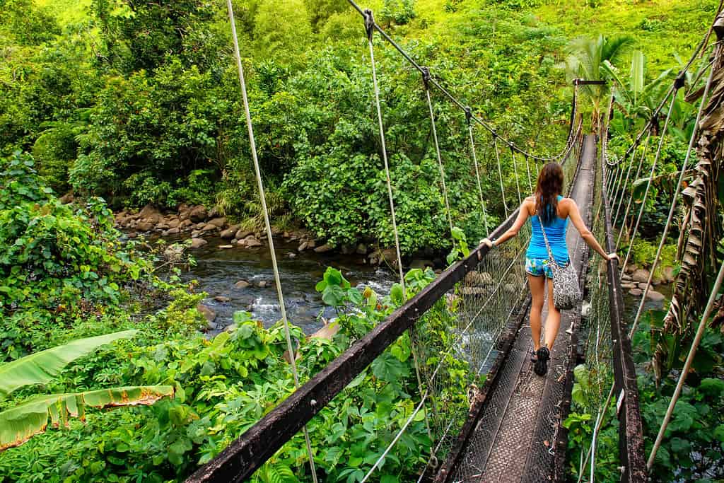 Giovane donna che cammina sul ponte sospeso sul torrente Wainibau, Lavena Coastal Walk, Isola di Taveuni, Fiji.  Taveuni è la terza isola più grande delle Fiji.