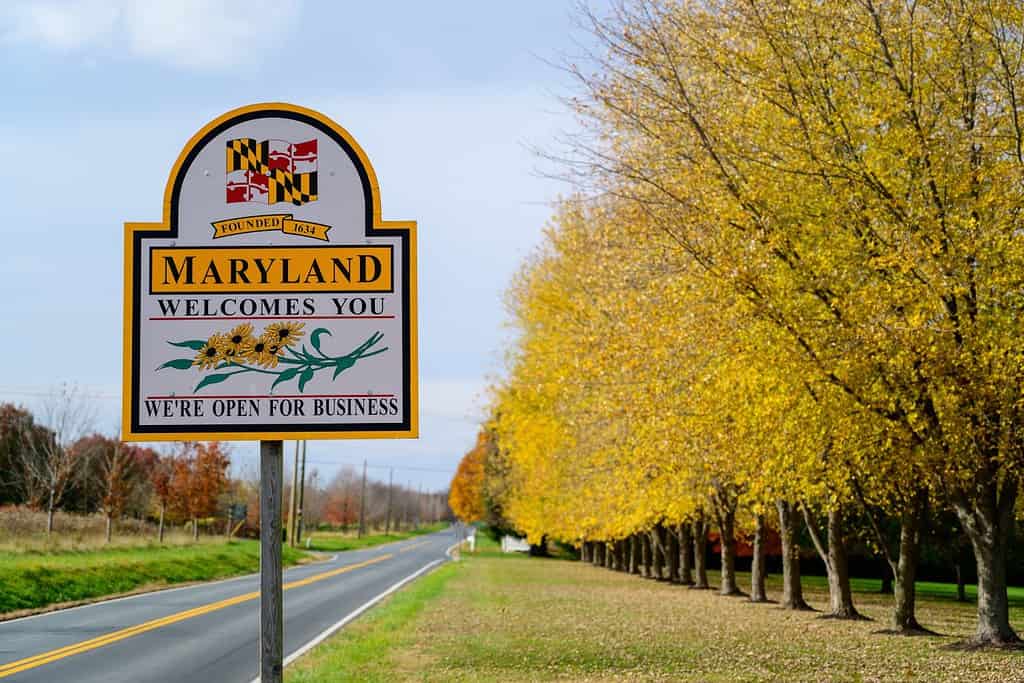 Benvenuti nel cartello del Maryland con alberi gialli