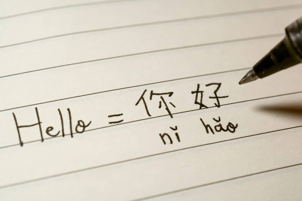 Studente principiante di lingua cinese che scrive la parola Ciao Nihao in caratteri cinesi e pinyin su una ripresa macro di un notebook