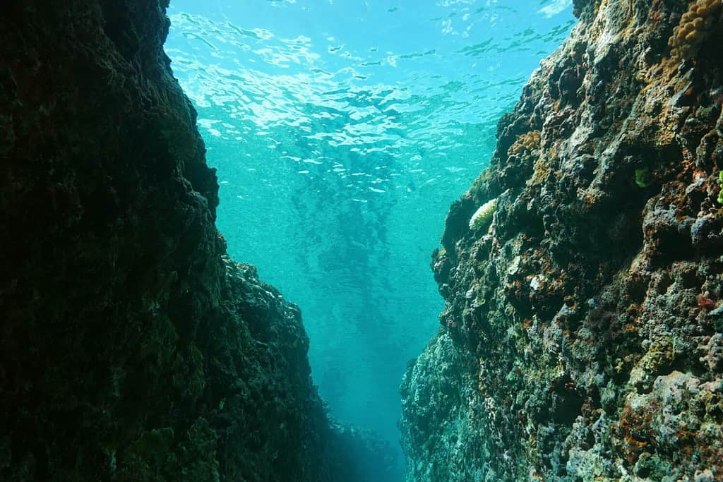 Crepaccio sottomarino nella barriera corallina esterna, oceano Pacifico, Polinesia francese