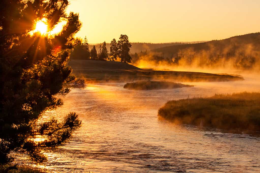 Alba sopra il fiume Yellowstone