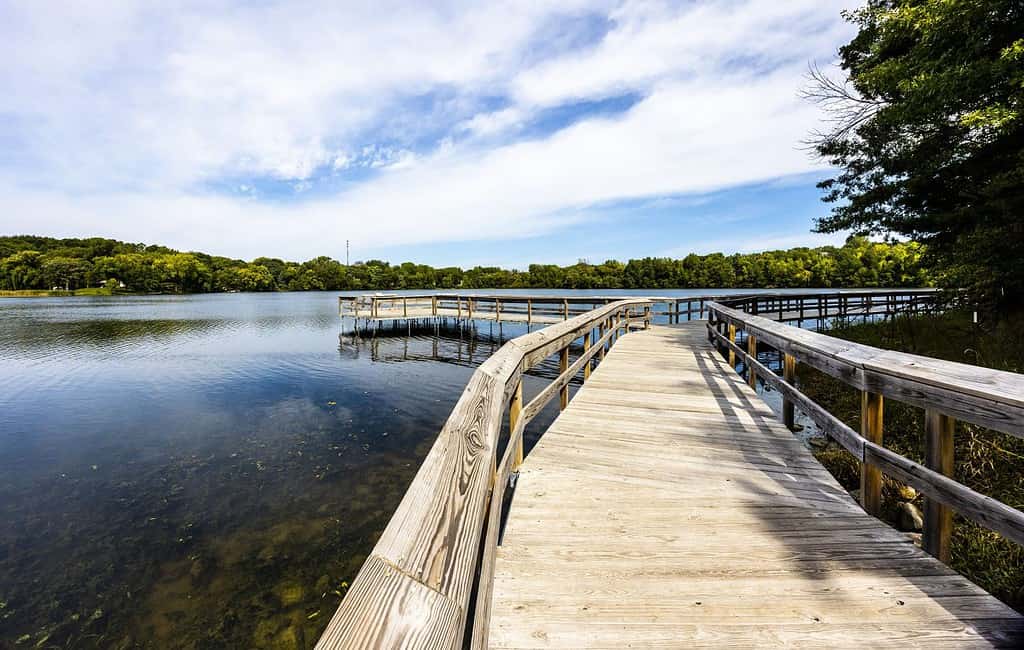 Un ponte di legno sopra il lago pulito e riflettente Carver, circondato da fitti alberi nel Minnesota