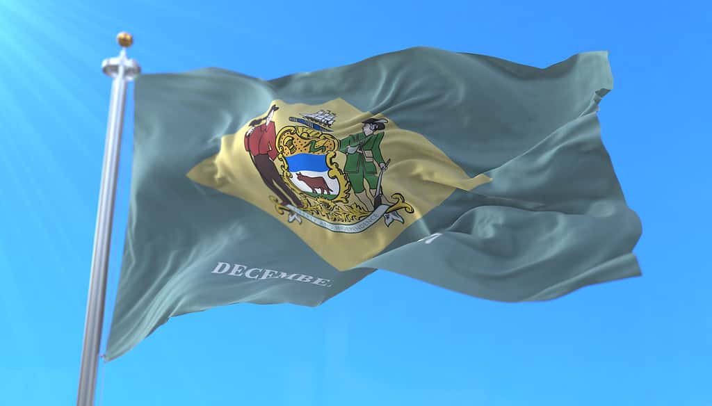 Bandiera dello stato americano del Delaware, regione degli Stati Uniti