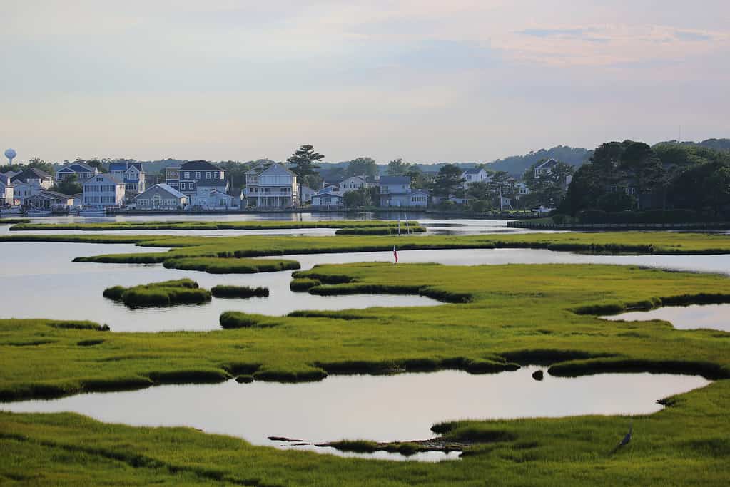 Affacciato sulla zona umida di Assawoman Bay e Fenwick Island, Delaware, Stati Uniti