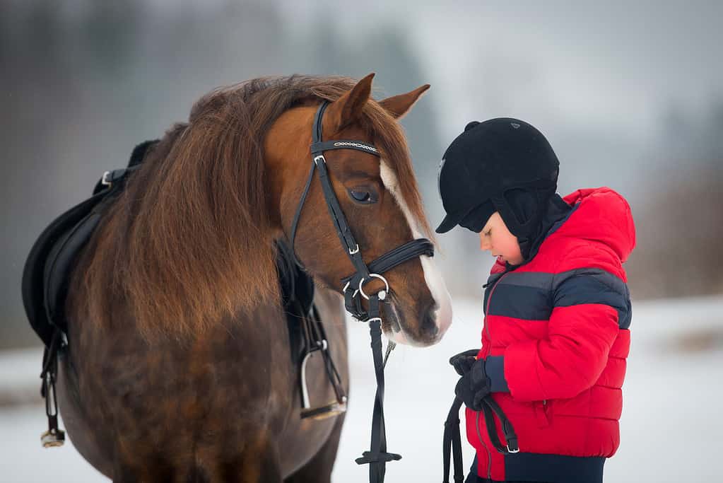 Terapia equina - Cavallo e ragazzo - bambino a cavallo in inverno