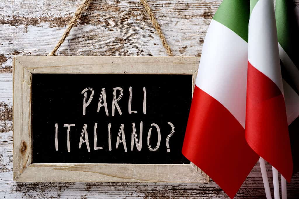 domanda parli italiano?  parli italiano?