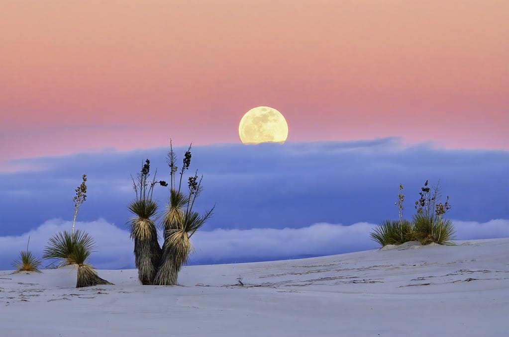 Sorgere della luna nel Parco nazionale di White Sands NM