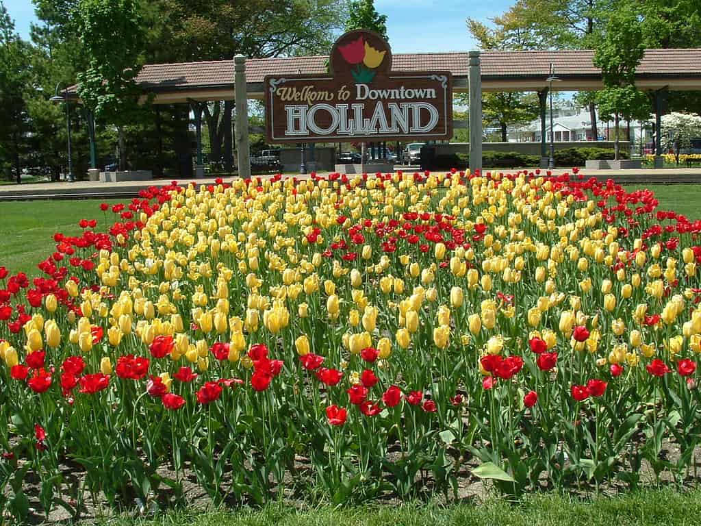 Il cartello che accoglie i visitatori nel centro di Holland, Michigan, Stati Uniti, con i tulipani in piena fioritura.