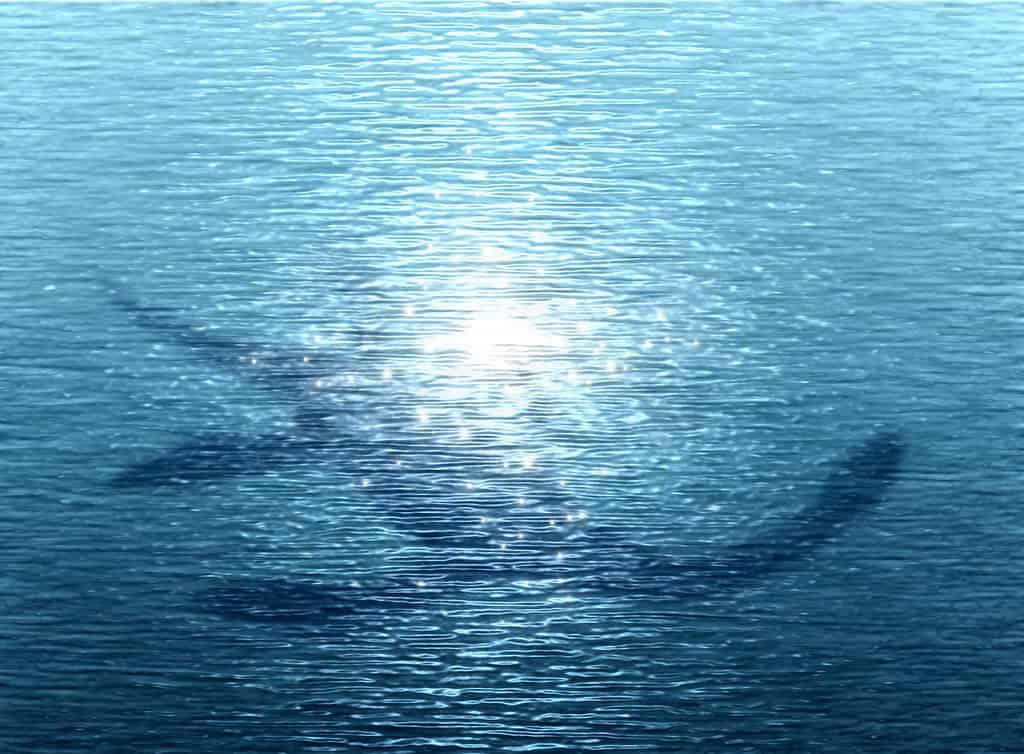 Siluetta del mostro di Loch Ness sott'acqua.