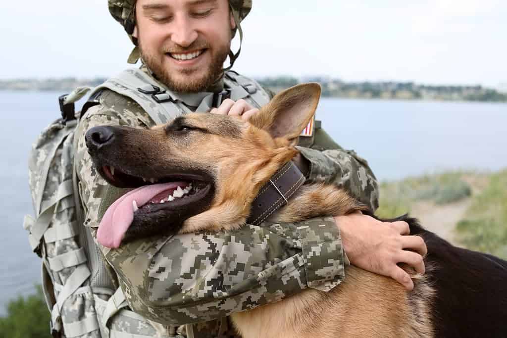 Uomo in uniforme militare con cane da pastore tedesco all'aperto