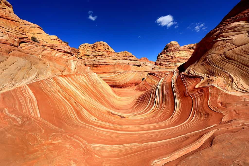 L'onda, Arizona, formazione rocciosa del canyon.  Vermillion Cliffs, Parco statale del Paria Canyon negli Stati Uniti
