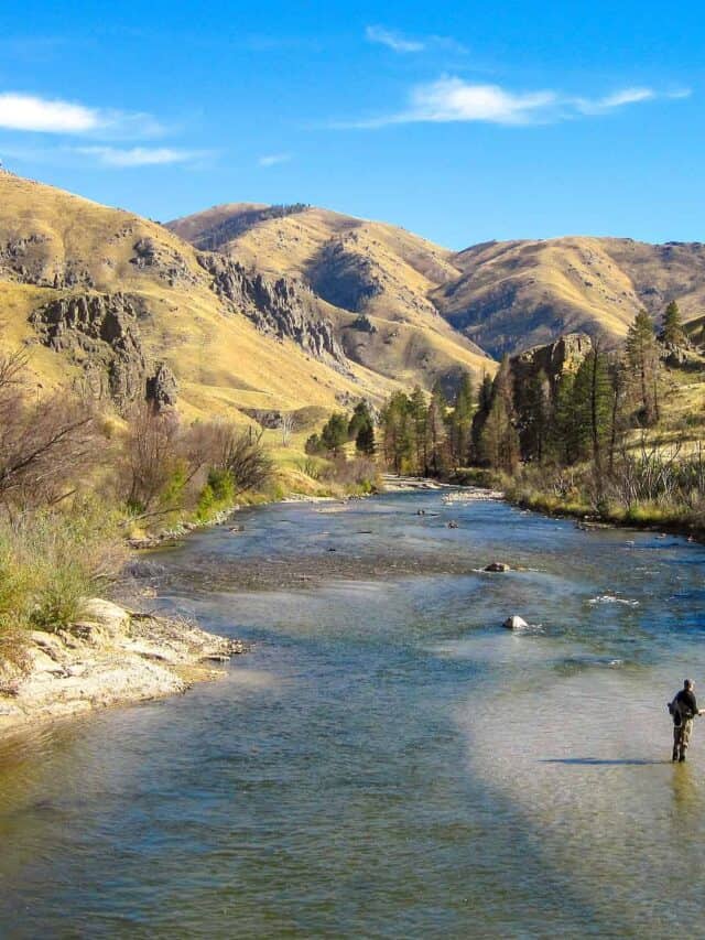 Fiume South Fork Boise