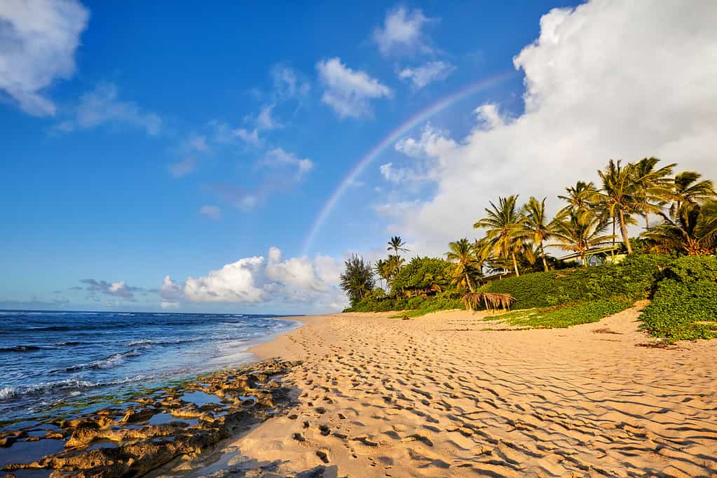 arcobaleno sopra il popolare luogo di surf Sunset Beach, Oahu, Hawaii