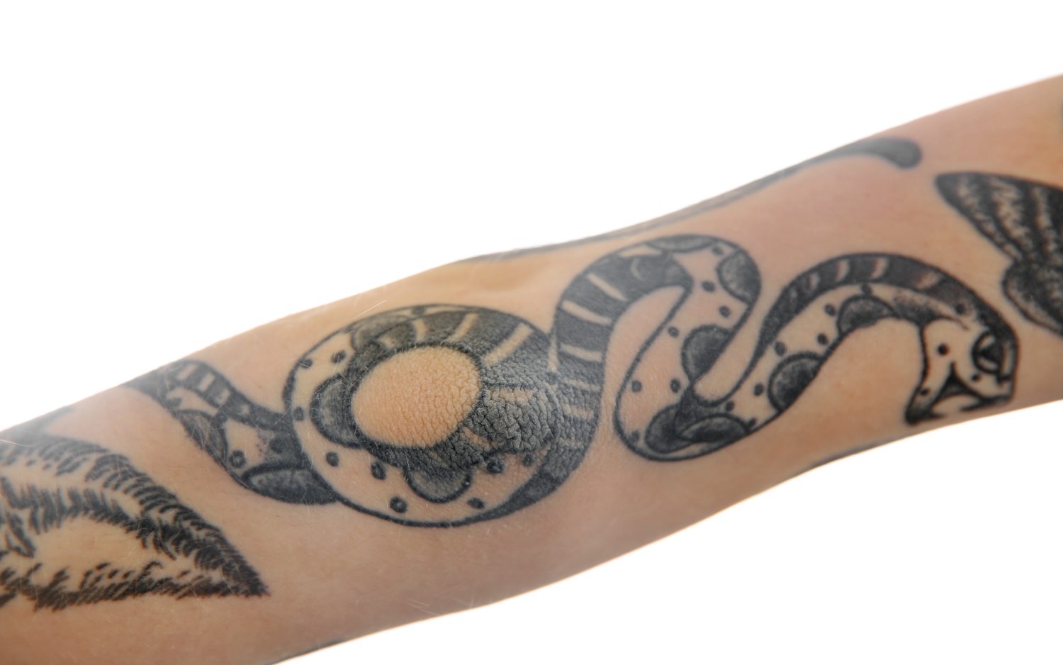 Tatuaggio serpente sul braccio femminile su sfondo bianco