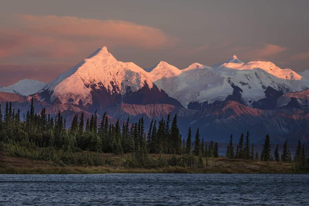 29 AGOSTO 2016 - Tramonto sul Monte Denali precedentemente noto come Monte McKinley, la vetta più alta del Nord America, a 20.310 piedi.  Catena montuosa dell'Alaska, Parco nazionale e riserva di Denali.