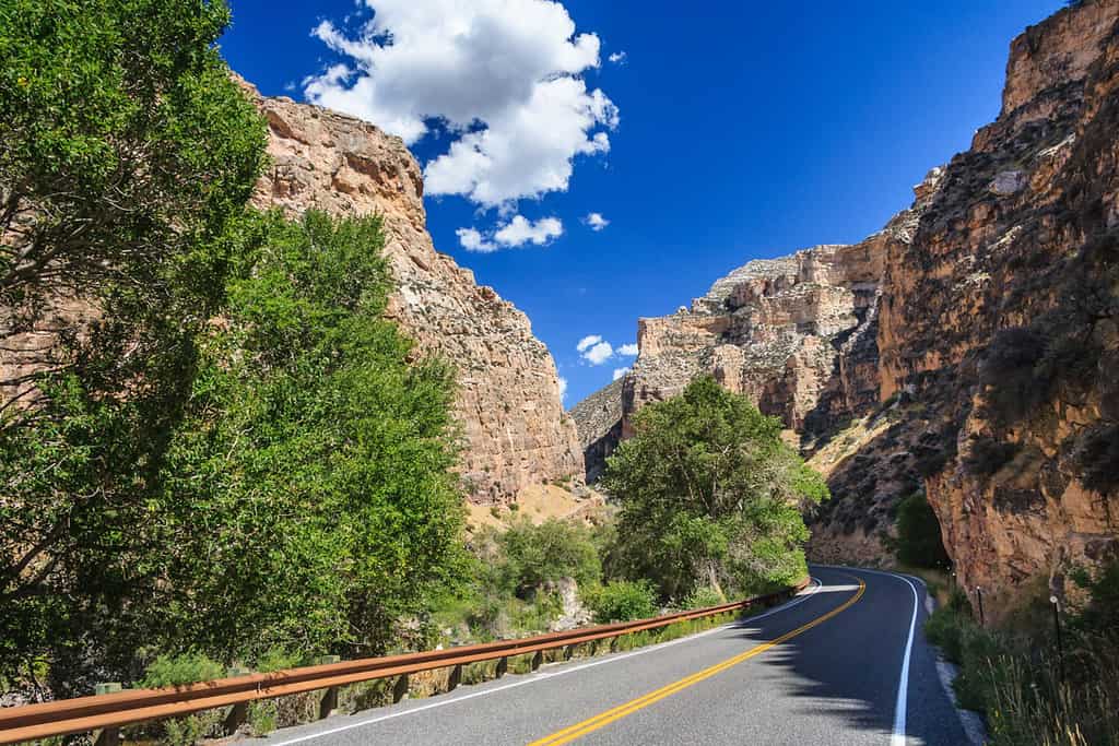 Foresta nazionale di Bighorn nel Wyoming, Stati Uniti