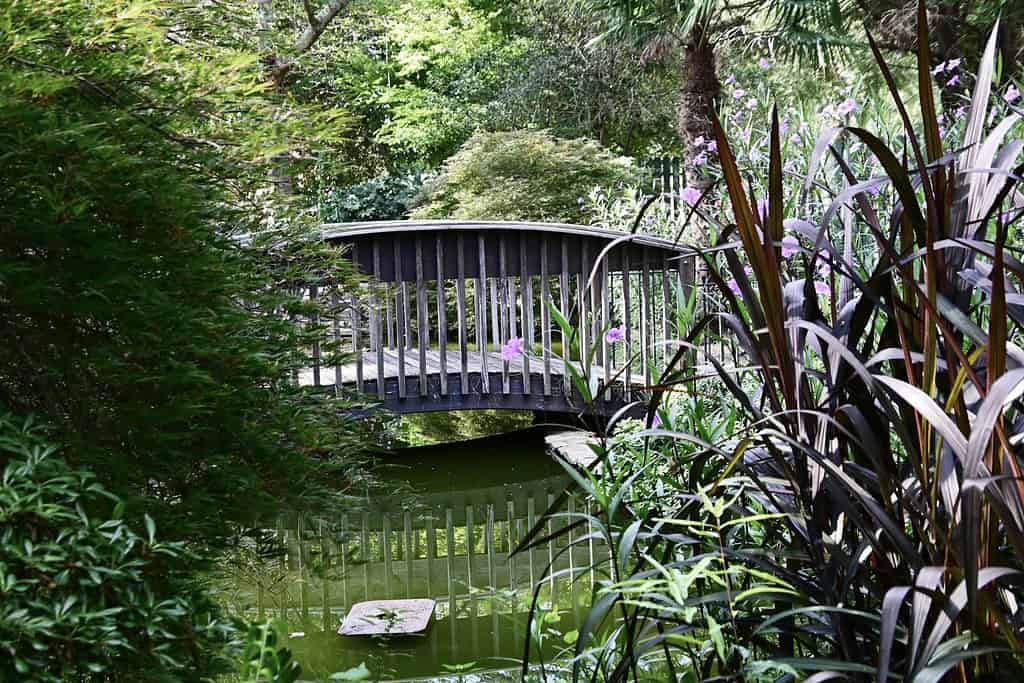 Edisto Memorial Gardens, Orangeburg, Carolina del Sud, Stati Uniti