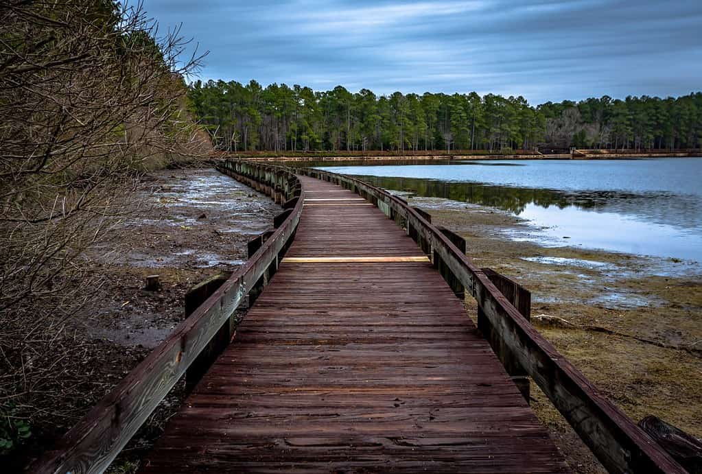 Passerella in legno nel Cheraw State Park, Carolina del Sud, Stati Uniti.