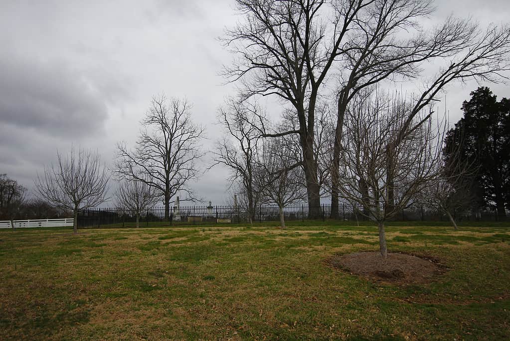 Cimitero confederato, parco del campo di battaglia del fianco orientale, Franklin, Tennessee