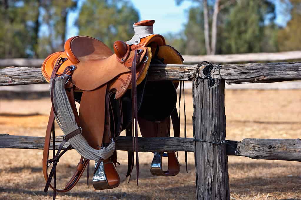 Sella e recinzione del cavallo occidentale